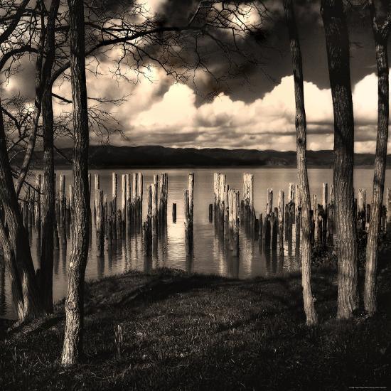 Photographic Print, , large