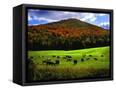 Canvas Black