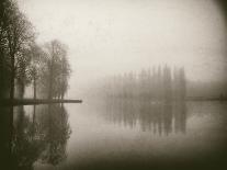 Trees in Fog VII-Jody Stuart-Mounted Photographic Print