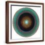 Brown Frame