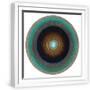 White Frame