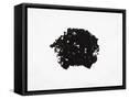 Framed Canvas
