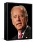 Joe Biden, Washington, DC-null-Framed Stretched Canvas