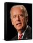 Joe Biden, Washington, DC-null-Framed Stretched Canvas