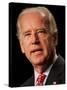 Joe Biden, Washington, DC-null-Stretched Canvas