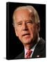 Joe Biden, Washington, DC-null-Framed Stretched Canvas