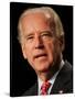 Joe Biden, Washington, DC-null-Stretched Canvas