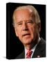 Joe Biden, Washington, DC-null-Stretched Canvas