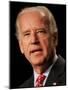 Joe Biden, Washington, DC-null-Mounted Photographic Print