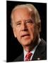 Joe Biden, Washington, DC-null-Mounted Photographic Print