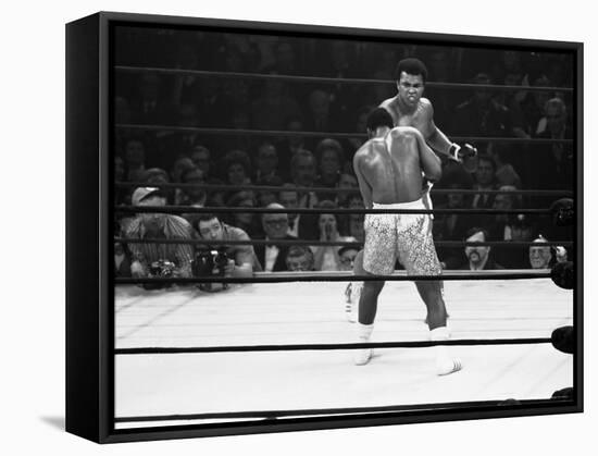 Joe Frazier Vs. Mohammed Ali at Madison Square Garden-John Shearer-Framed Stretched Canvas