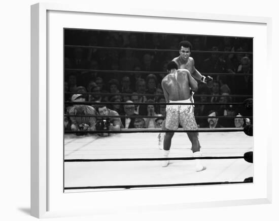 Joe Frazier Vs. Mohammed Ali at Madison Square Garden-John Shearer-Framed Premium Photographic Print