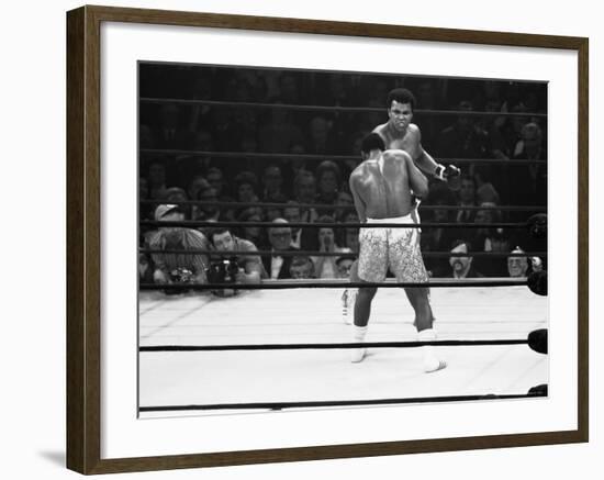 Joe Frazier Vs. Mohammed Ali at Madison Square Garden-John Shearer-Framed Premium Photographic Print