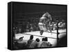 Joe Frazier Vs. Mohammed Ali at Madison Square Garden-John Shearer-Framed Stretched Canvas