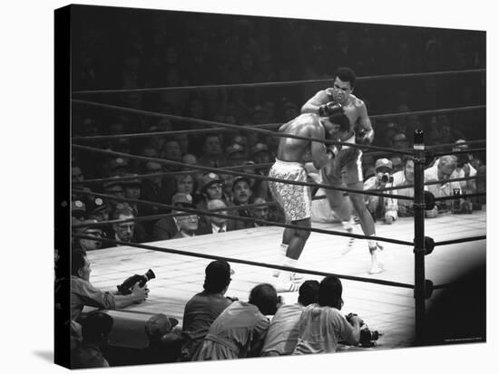 Joe Frazier Vs. Mohammed Ali at Madison Square Garden-John Shearer-Stretched Canvas