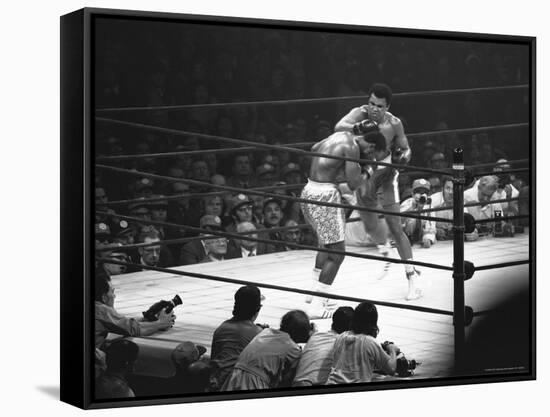 Joe Frazier Vs. Mohammed Ali at Madison Square Garden-John Shearer-Framed Stretched Canvas