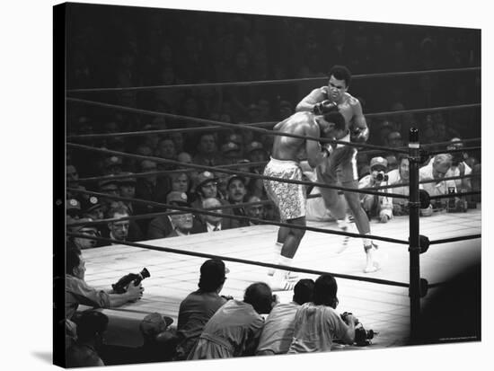 Joe Frazier Vs. Mohammed Ali at Madison Square Garden-John Shearer-Stretched Canvas