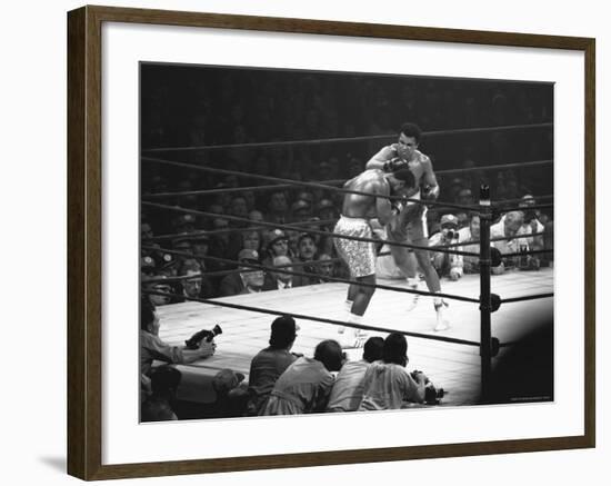 Joe Frazier Vs. Mohammed Ali at Madison Square Garden-John Shearer-Framed Premium Photographic Print