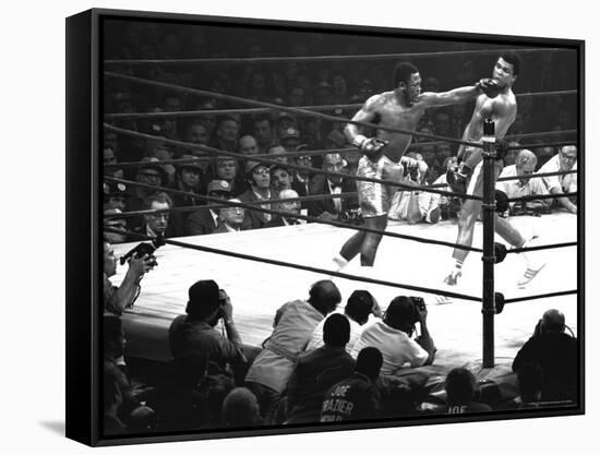 Joe Frazier Vs. Mohammed Ali at Madison Square Garden-John Shearer-Framed Stretched Canvas