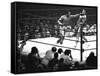 Joe Frazier Vs. Mohammed Ali at Madison Square Garden-John Shearer-Framed Stretched Canvas