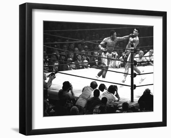 Joe Frazier Vs. Mohammed Ali at Madison Square Garden-John Shearer-Framed Premium Photographic Print