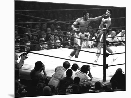 Joe Frazier Vs. Mohammed Ali at Madison Square Garden-John Shearer-Mounted Premium Photographic Print