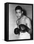 Joe Louis (1914-1981)-null-Framed Stretched Canvas