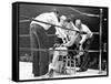 Joe Louis, Negro Boxer Fighting Perry-Peter Stackpole-Framed Stretched Canvas