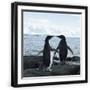 Black Frame