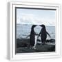 White Frame