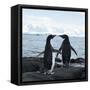 Canvas Black