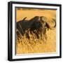 Black Frame