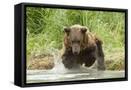 Framed Canvas