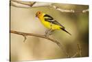 Stretched Canvas