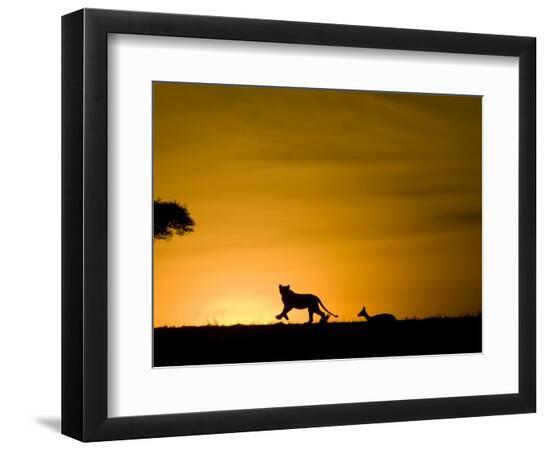 Premium Photographic Print, , large