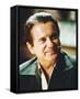 Joe Pesci, Casino (1995)-null-Framed Stretched Canvas