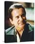 Joe Pesci, Casino (1995)-null-Stretched Canvas