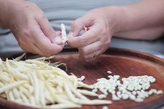 Woman Selecting and Separating Green Beans from Pods-Joe Petersburger-Photographic Print