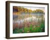 Joe Pye Weed at Sndyers Bend Park, Iowa Missouri River-Tom Till-Framed Photographic Print