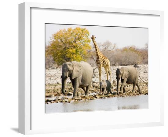 Framed Photographic Print, , large