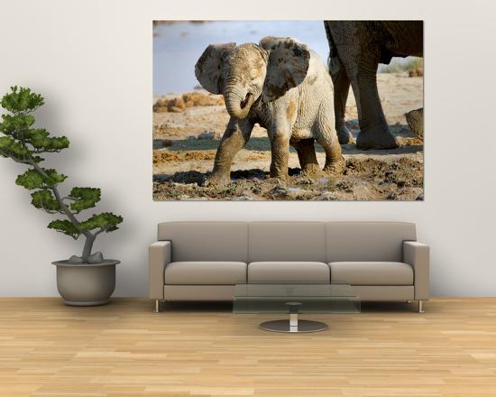 Giant Art Print, , large