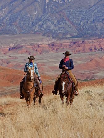 Ride Him Cowgirl