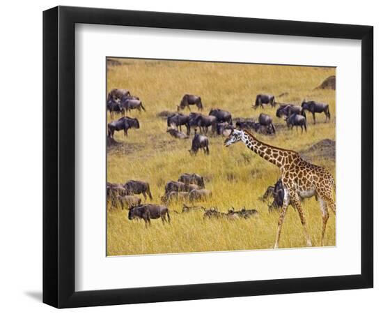 Premium Photographic Print, , large