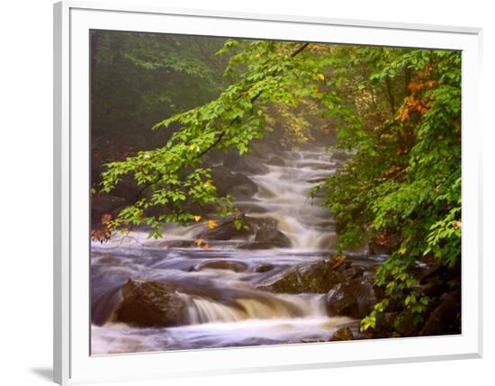 Framed Photographic Print, , large
