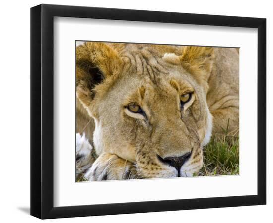 Premium Photographic Print, , large