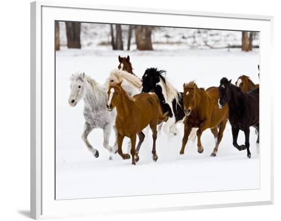 Framed Photographic Print, , large