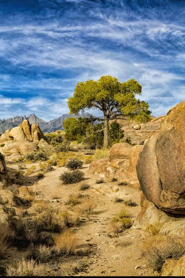Premium Photographic Print, , large