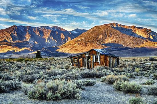 Premium Photographic Print, , large