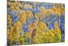Wood Mount