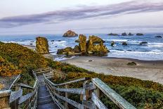 USA, Oregon, Bandon, Beach-Joe Restuccia III-Photographic Print